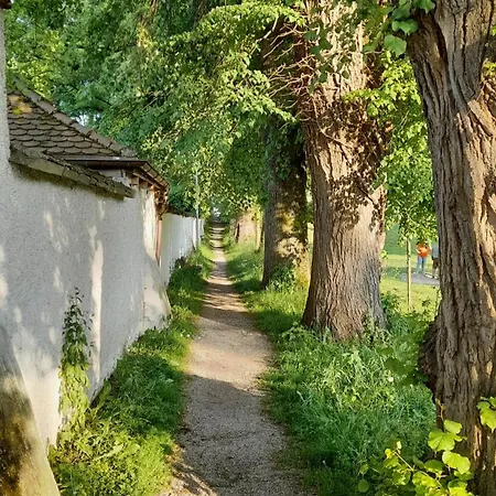 Prázdninový dům Haus Maria *
